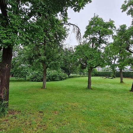 Eifelhof Mit Obstbaumwiese นีเด็กเกน ภายนอก รูปภาพ