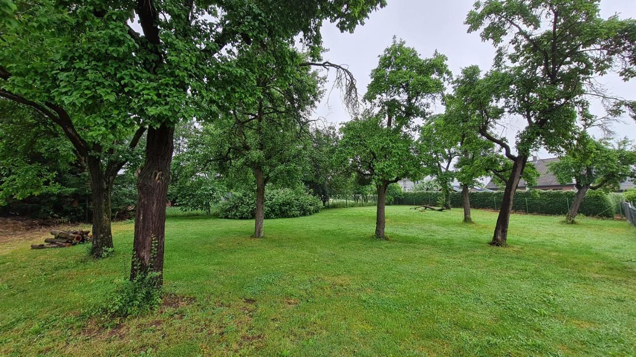 Eifelhof Mit Obstbaumwiese นีเด็กเกน ภายนอก รูปภาพ
