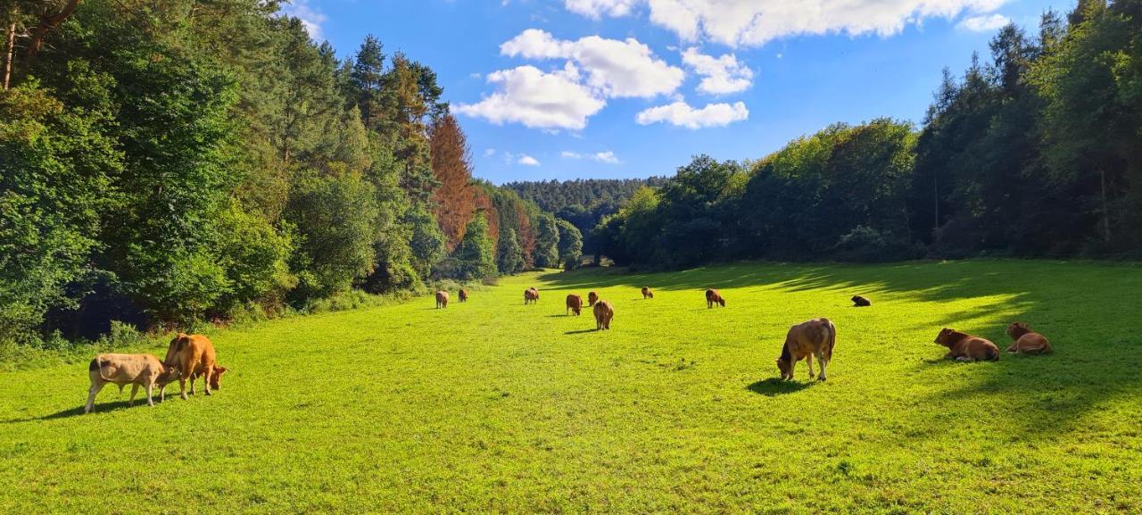 Eifelhof Mit Obstbaumwiese นีเด็กเกน ภายนอก รูปภาพ