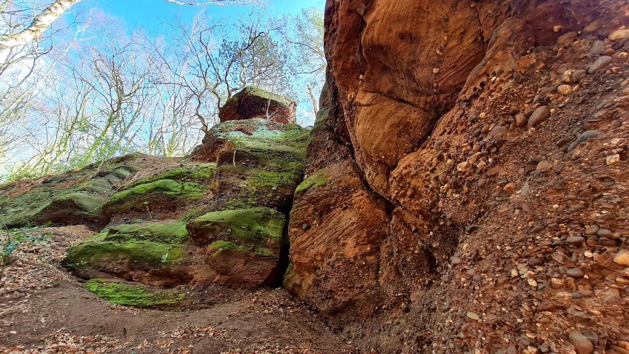 Eifelhof Mit Obstbaumwiese นีเด็กเกน ภายนอก รูปภาพ