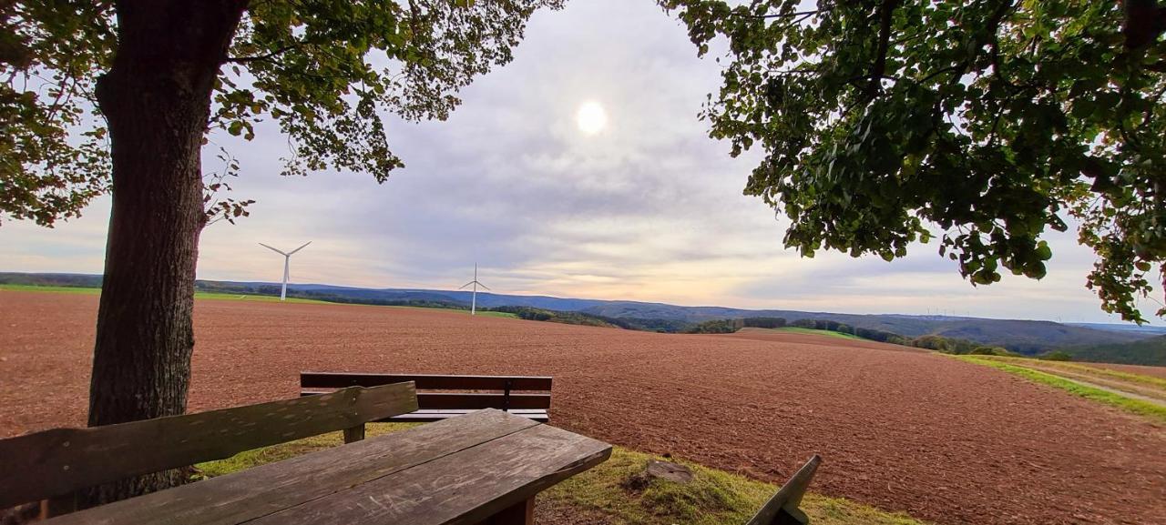 Eifelhof Mit Obstbaumwiese นีเด็กเกน ภายนอก รูปภาพ