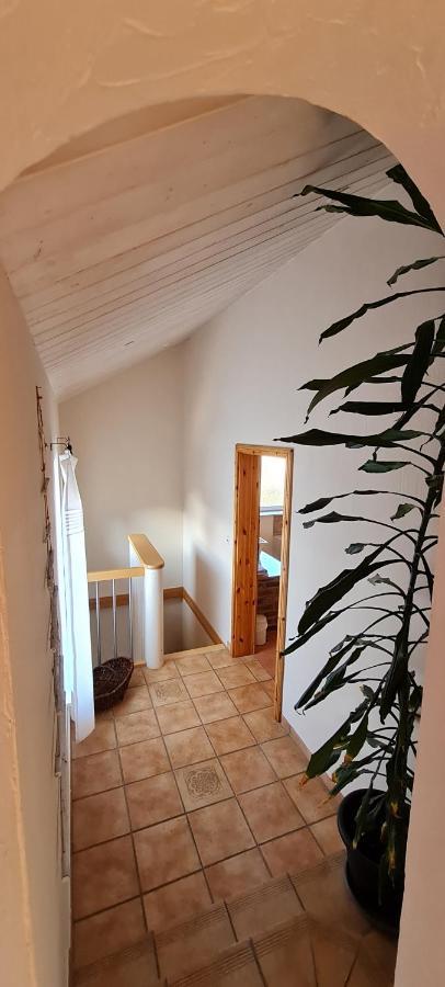 Eifelhof Mit Obstbaumwiese นีเด็กเกน ภายนอก รูปภาพ